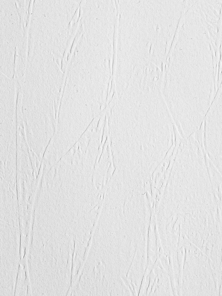 Тисненый флизелин Структура NC 1,06*25 9010-080 жатка